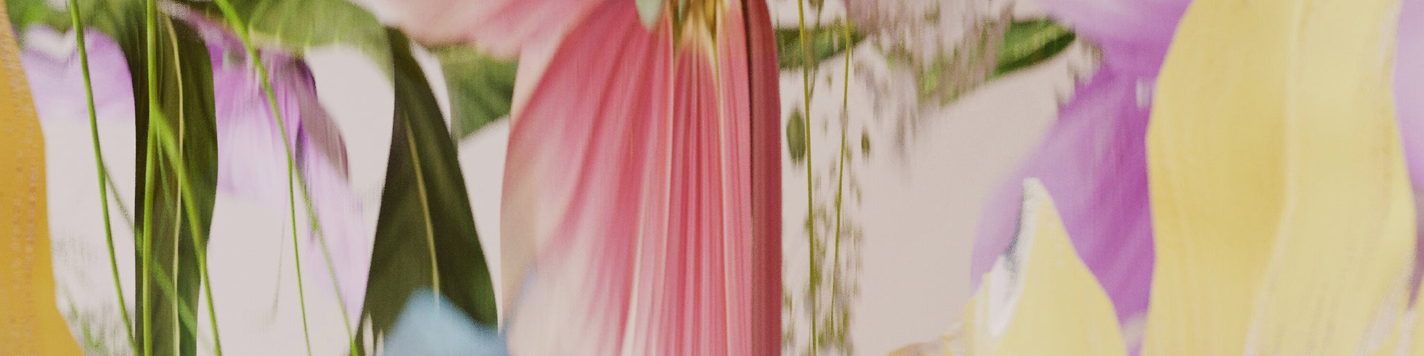 All Products â JK7® Skincare