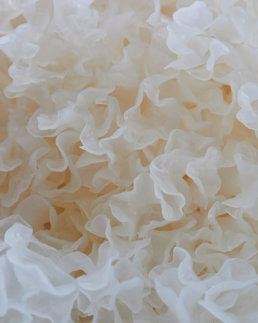 Silver Ear Mushroom as Nature's Hyaluronic Acid